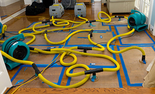 Professional Basement Flood Cleanup technician working in Jay, OK